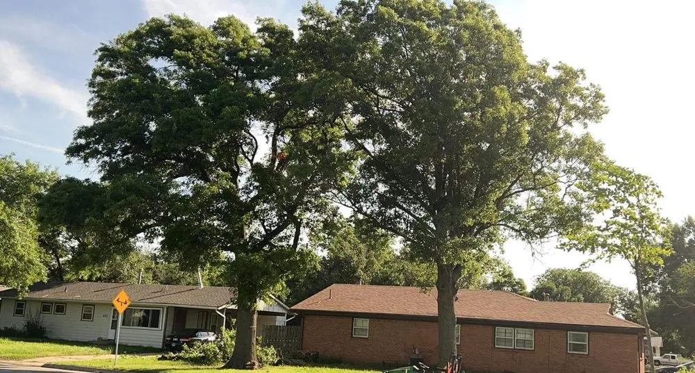 Top-rated landscape installation in Wilsey, KS - A&J Landscaping & Tree Service