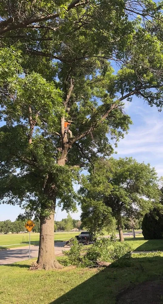 Affordable lawn care service in Wilsey, KS - A&J Landscaping & Tree Service
