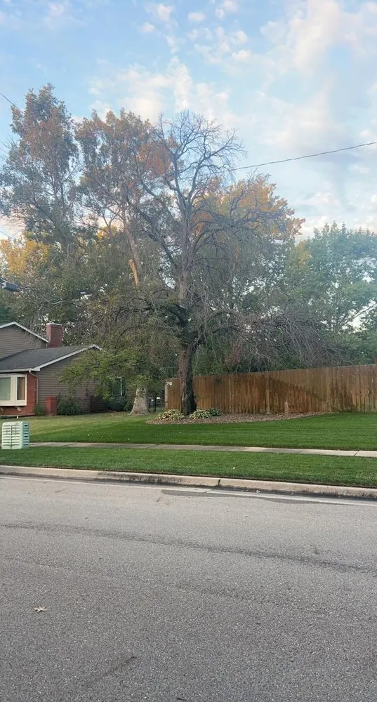 Reliable lawn care service for outdoor upgrades in Wilsey, KS by A&J Landscaping & Tree Service
