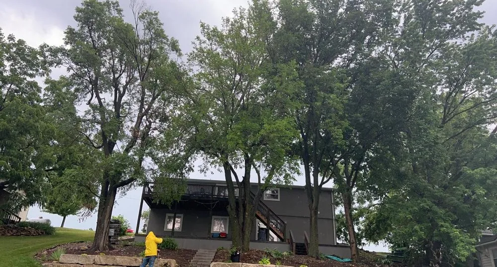 Professional landscaping services for year-round maintenance in Wilsey, KS by A&J Landscaping & Tree Service