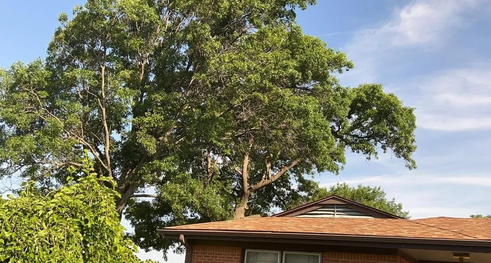 Local outdoor landscaping in Wilsey, KS by A&J Landscaping & Tree Service