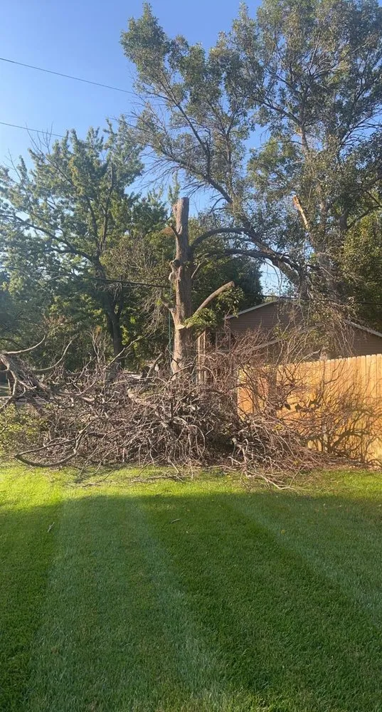 Expert landscape design in Wilsey, KS - A&J Landscaping & Tree Service
