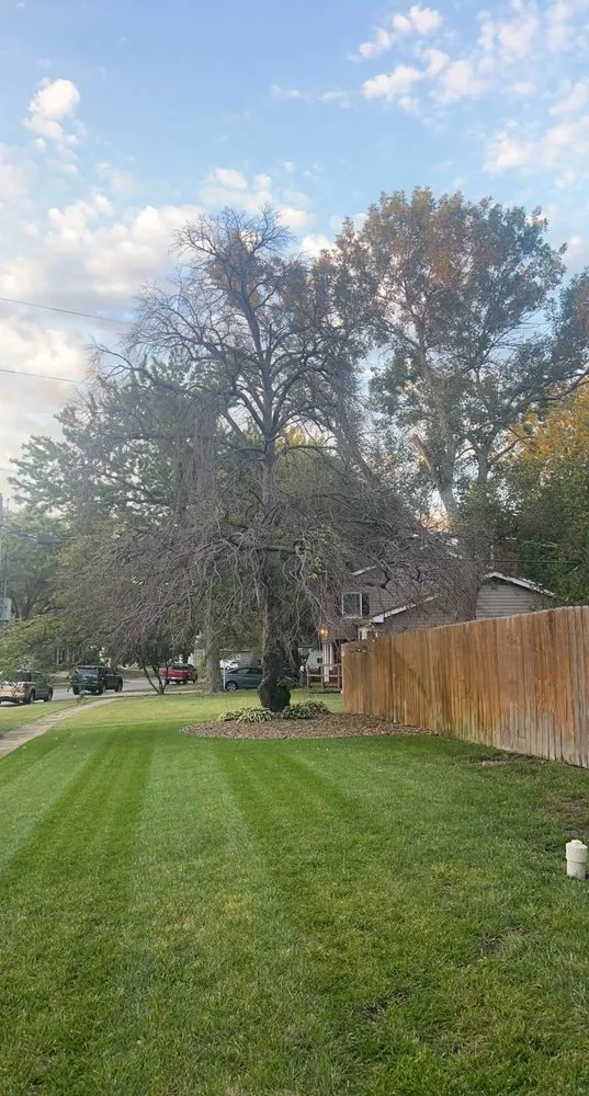 Affordable lawn care service experts serving Wilsey, KS - A&J Landscaping & Tree Service