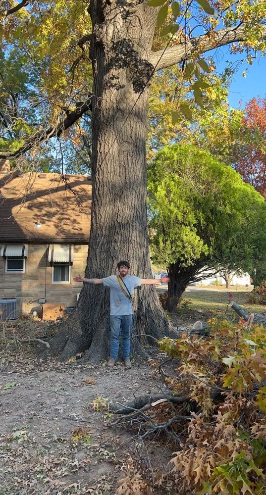 Top-rated garden landscaping in Wilsey, KS by A&J Landscaping & Tree Service