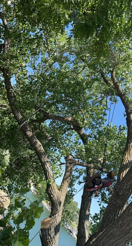 Reliable residential landscaping in Wilsey, KS by A&J Landscaping & Tree Service