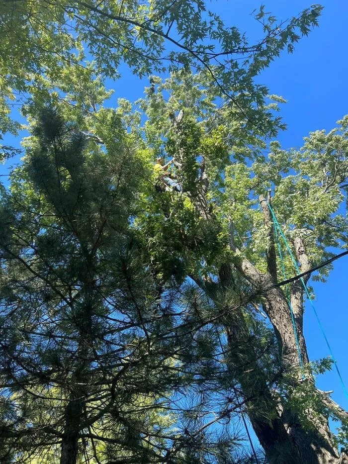 Trusted garden landscaping in Wilsey, KS - A&J Landscaping & Tree Service