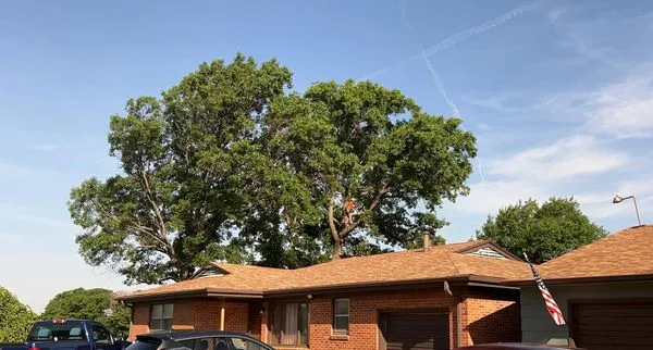 A&J Landscaping & Tree Service