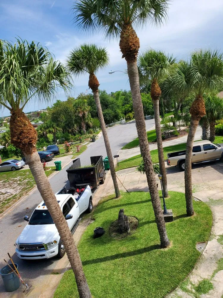 Professional yard cleanup service in Cocoa, FL - A&J Landscaping and Tree Service