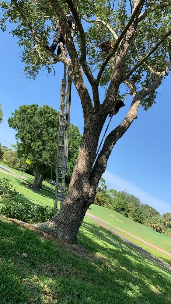 Custom residential landscaping in Cocoa, FL by A&J Landscaping and Tree Service