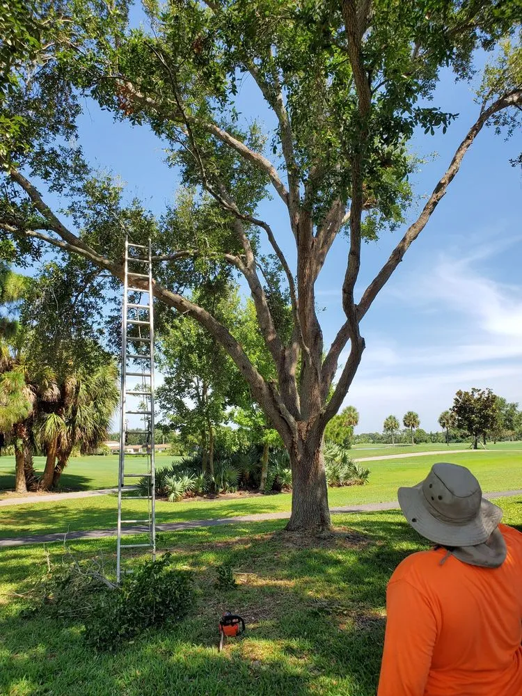 Top-rated yard cleanup service for beautiful yards in Cocoa, FL by A&J Landscaping and Tree Service