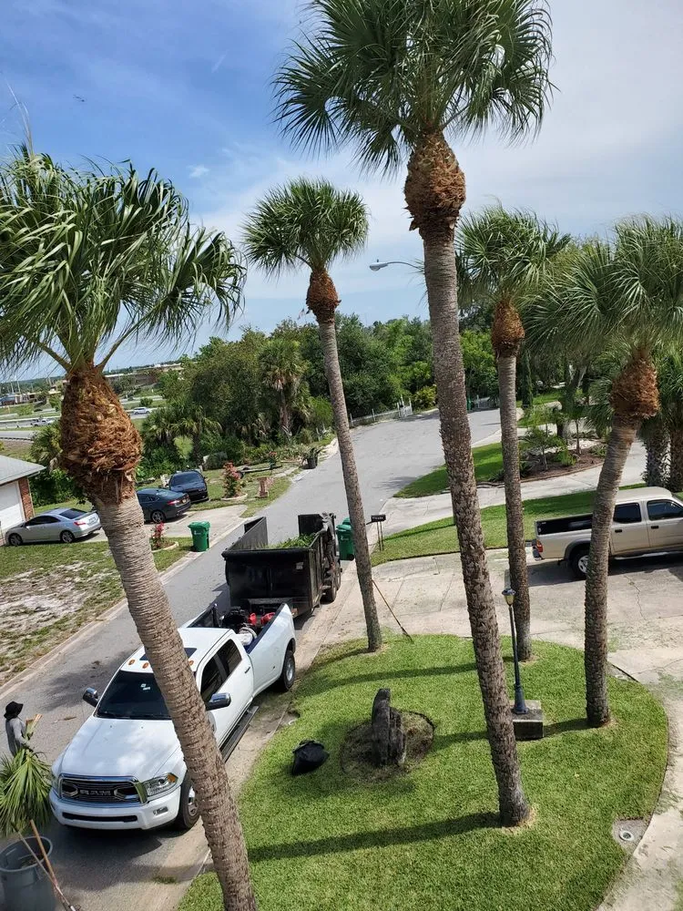Top-rated residential landscaping in Cocoa, FL by A&J Landscaping and Tree Service