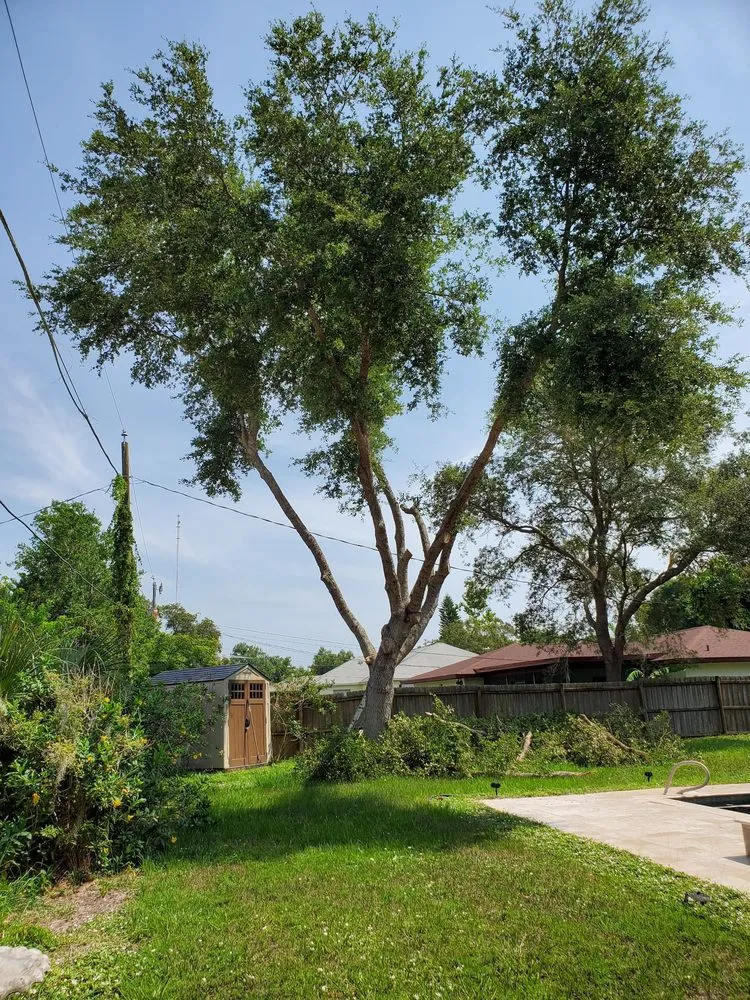 Custom landscape design in Cocoa, FL - A&J Landscaping and Tree Service