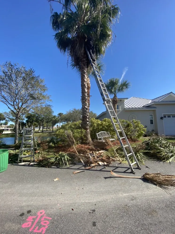 Professional landscape design in Cocoa, FL by A&J Landscaping and Tree Service