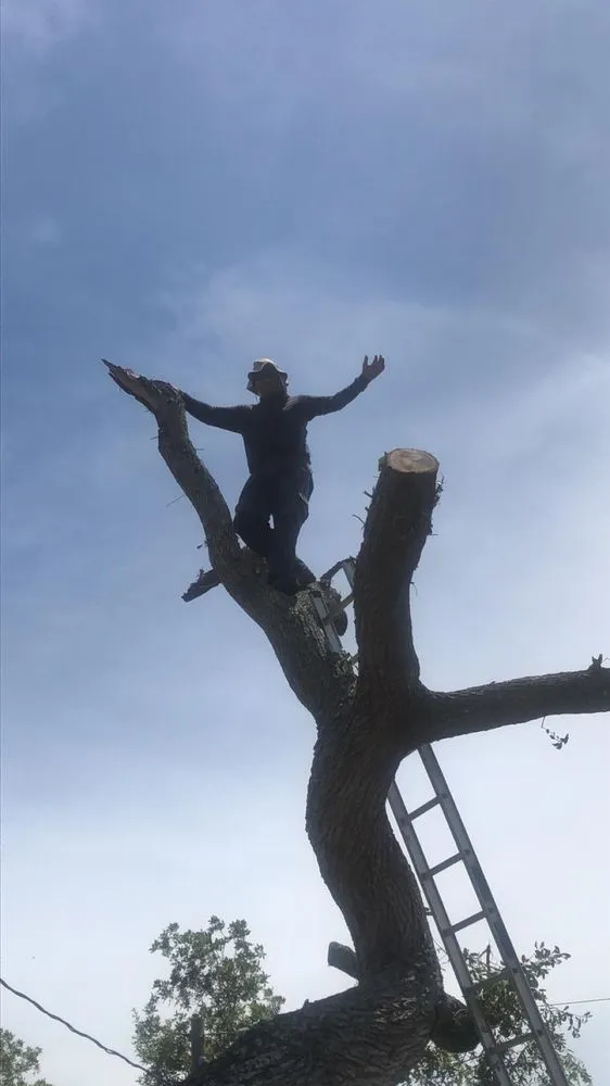 Affordable yard cleanup service for outdoor upgrades across Cocoa, FL - A&J Landscaping and Tree Service