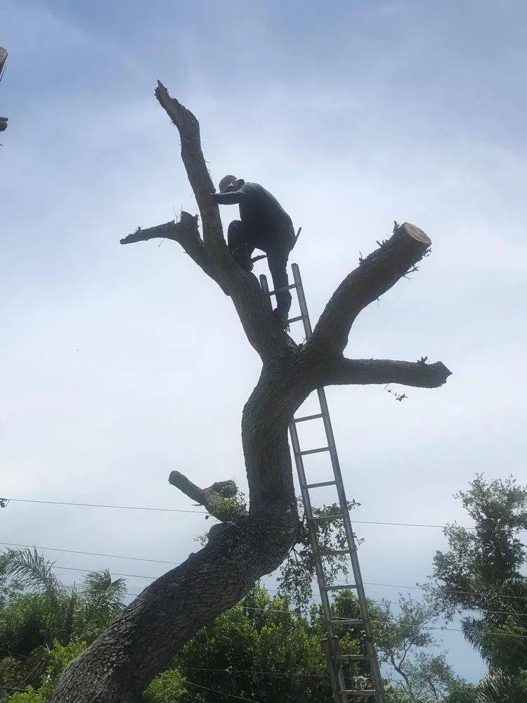 Reliable landscaping services for homes across Cocoa, FL - A&J Landscaping and Tree Service