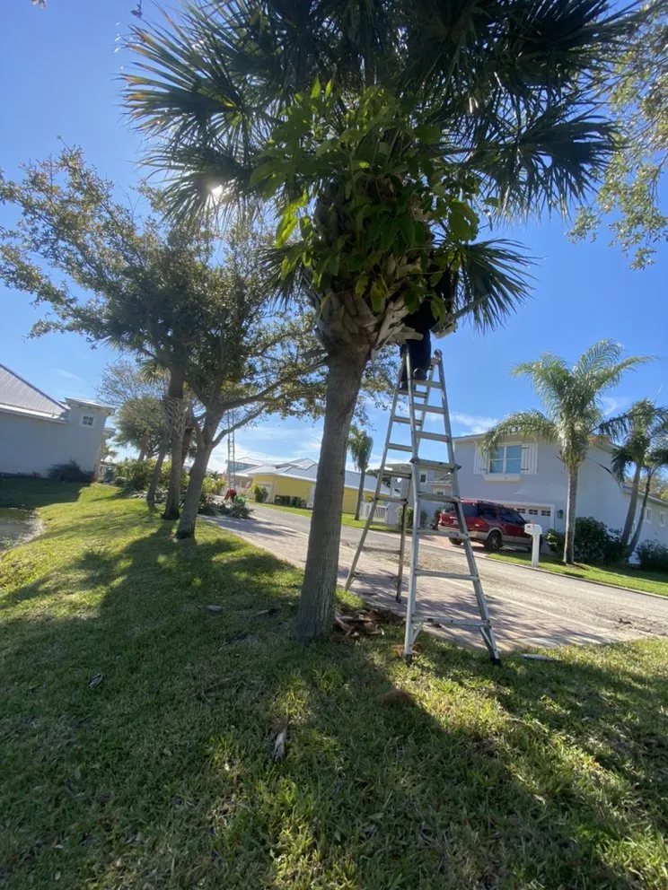 Custom landscape design for beautiful yards across Cocoa, FL - A&J Landscaping and Tree Service
