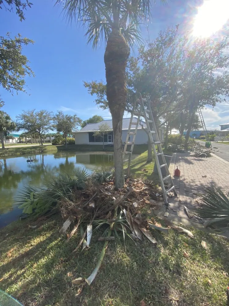 Top-rated garden landscaping for homes across Cocoa, FL - A&J Landscaping and Tree Service