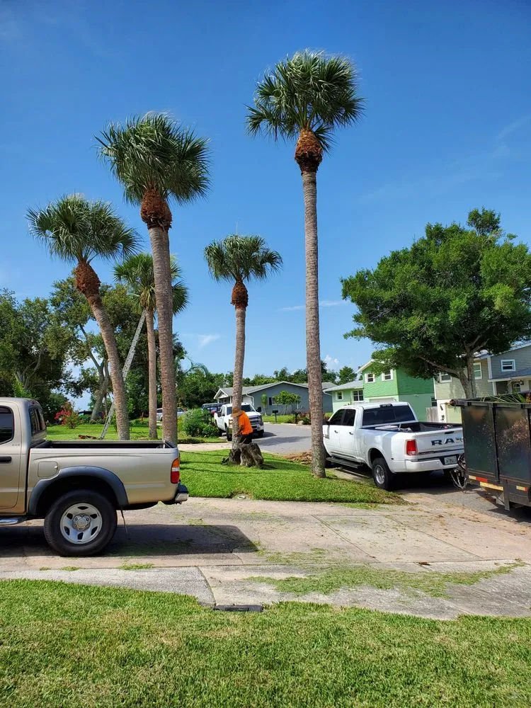 Trusted landscaping services in Cocoa, FL by A&J Landscaping and Tree Service