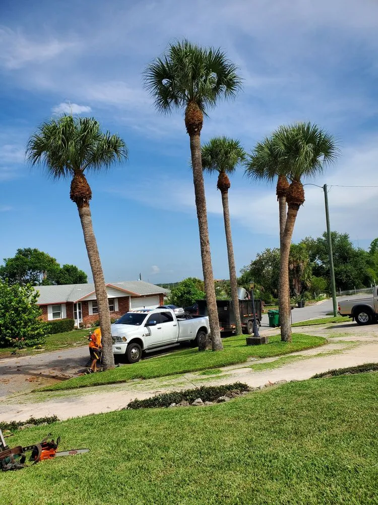 Expert outdoor landscaping experts serving Cocoa, FL - A&J Landscaping and Tree Service