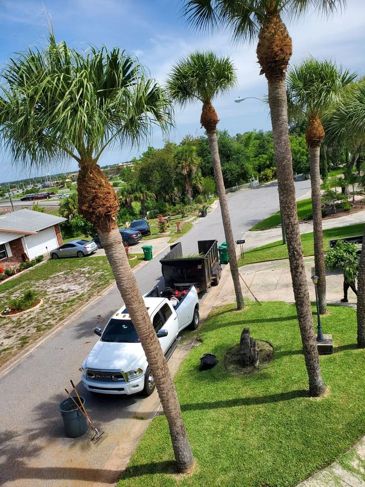 Custom landscaping services for residential properties across Cocoa, FL - A&J Landscaping and Tree Service