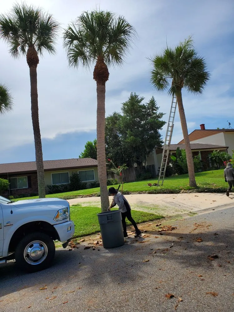 Local yard maintenance for outdoor upgrades in Cocoa, FL by A&J Landscaping and Tree Service
