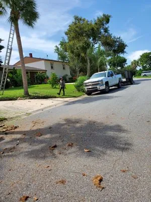 A&J Landscaping and Tree Service Logo
