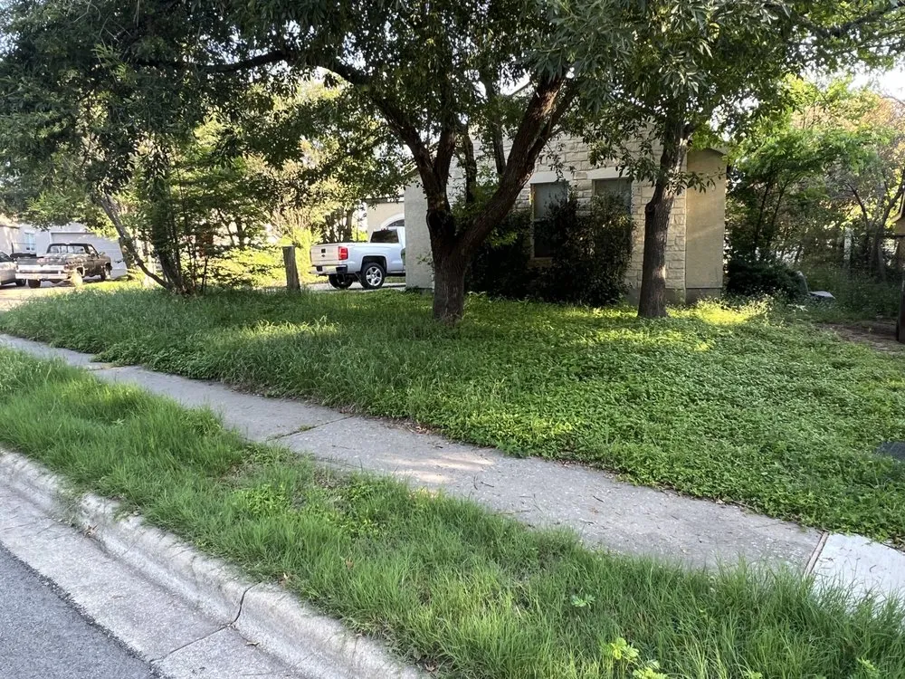 Reliable yard cleanup service in Austin, TX by A.J. Landscaping