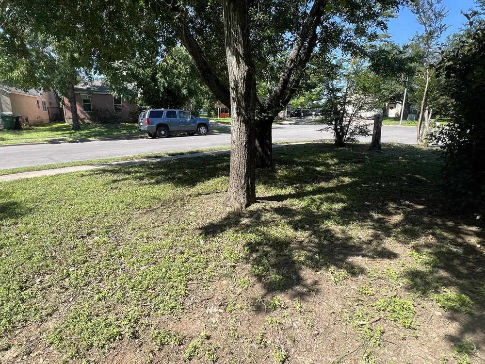 Affordable yard maintenance for year-round maintenance across Austin, TX - A.J. Landscaping