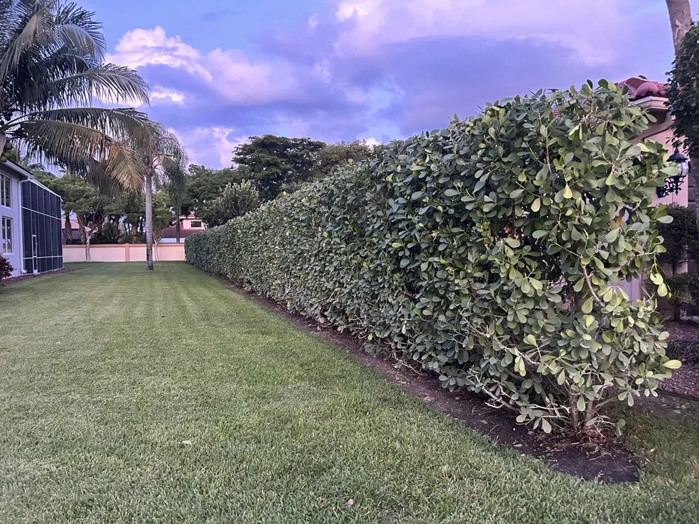 Trusted yard cleanup service for beautiful yards in Coral Springs, FL by AJ Landscaping