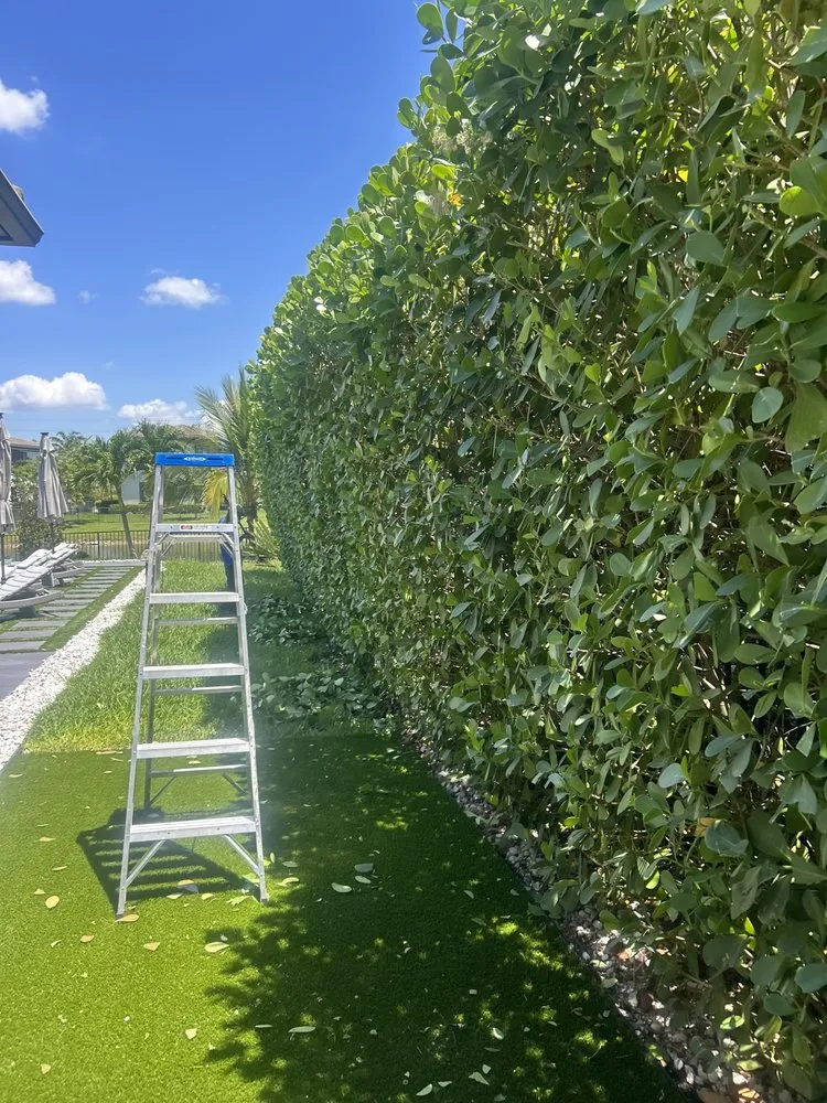 Custom outdoor landscaping in Coral Springs, FL - AJ Landscaping