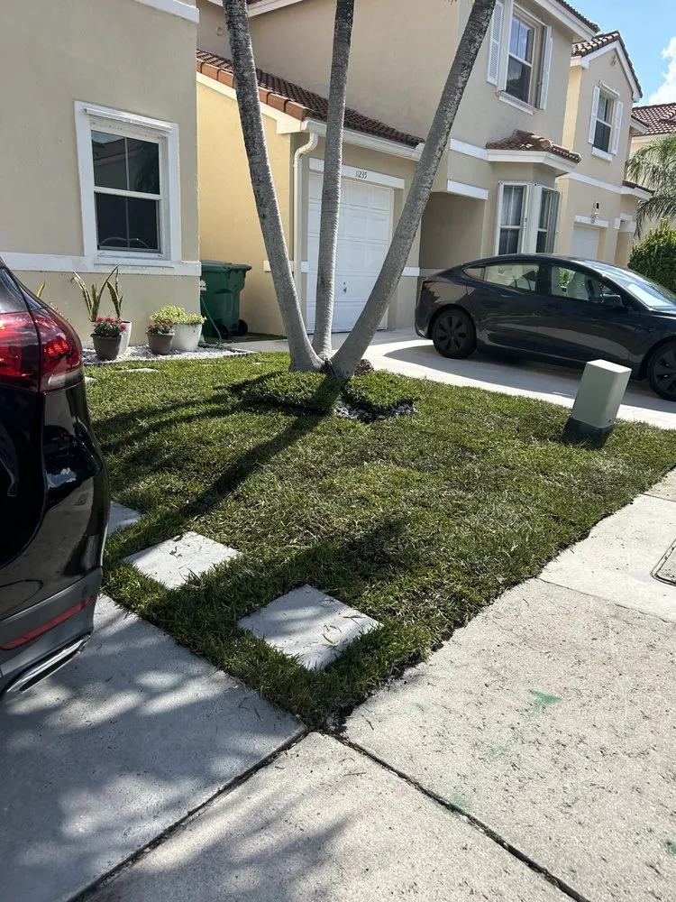 Affordable lawn care service in Coral Springs, FL - AJ Landscaping