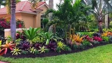 Trusted lawn care service experts serving Coral Springs, FL - AJ Landscaping