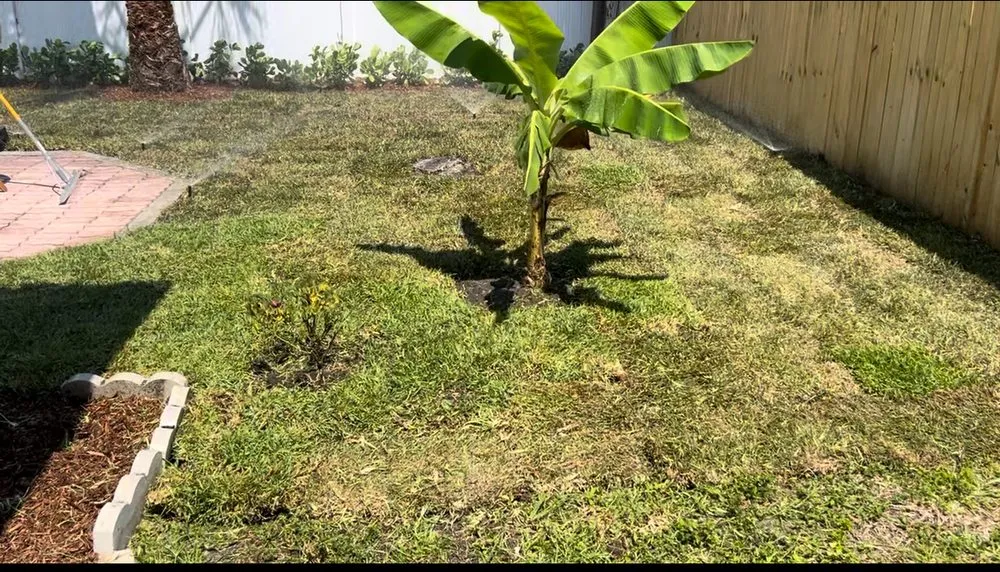 Affordable lawn care service for residential properties in Coral Springs, FL by AJ Landscaping