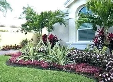 Professional yard cleanup service in Coral Springs, FL by AJ Landscaping