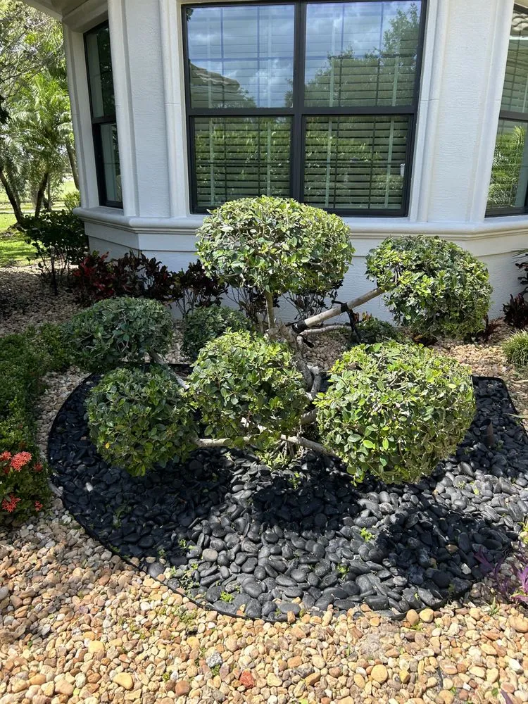 Reliable yard cleanup service in Coral Springs, FL - AJ Landscaping