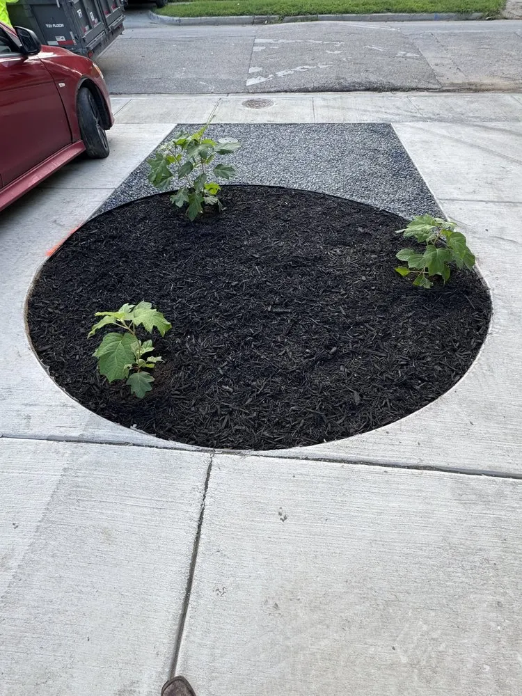 Trusted garden landscaping for year-round maintenance across Dallas, TX - AJ Landscaping