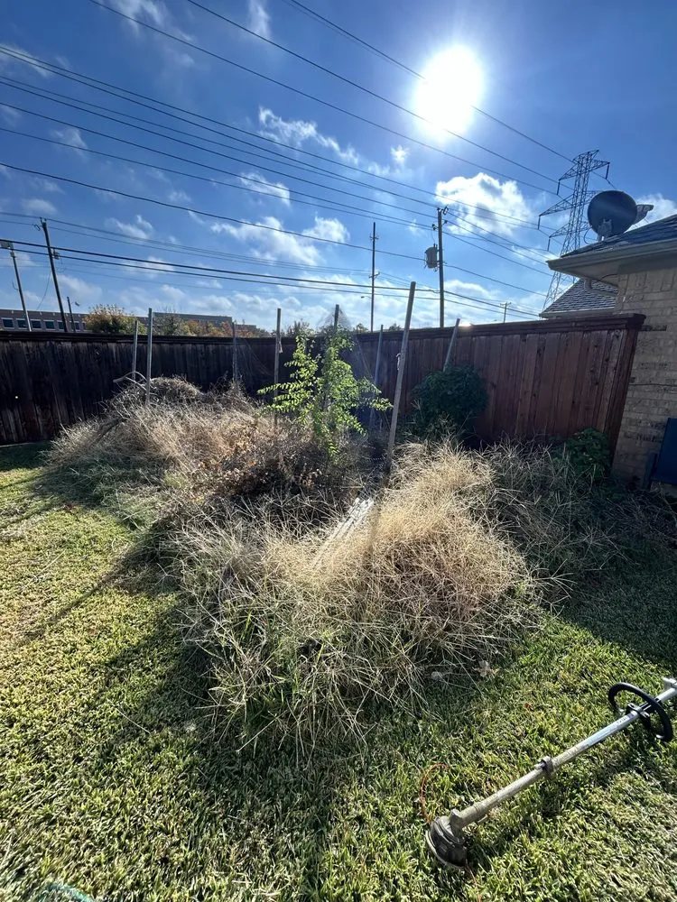 Expert residential landscaping for year-round maintenance in Krum, TX by A&J landscaping