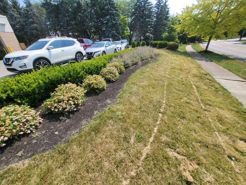 Affordable yard cleanup service experts serving Lancaster, OH - A&j Landscaping