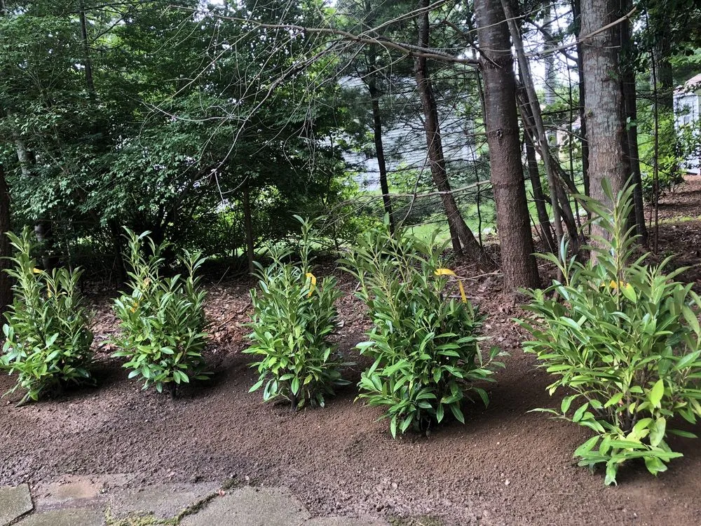 Top-rated garden landscaping in Barnstable, MA by A&J Landscaping Masonry and Home Improvement Services