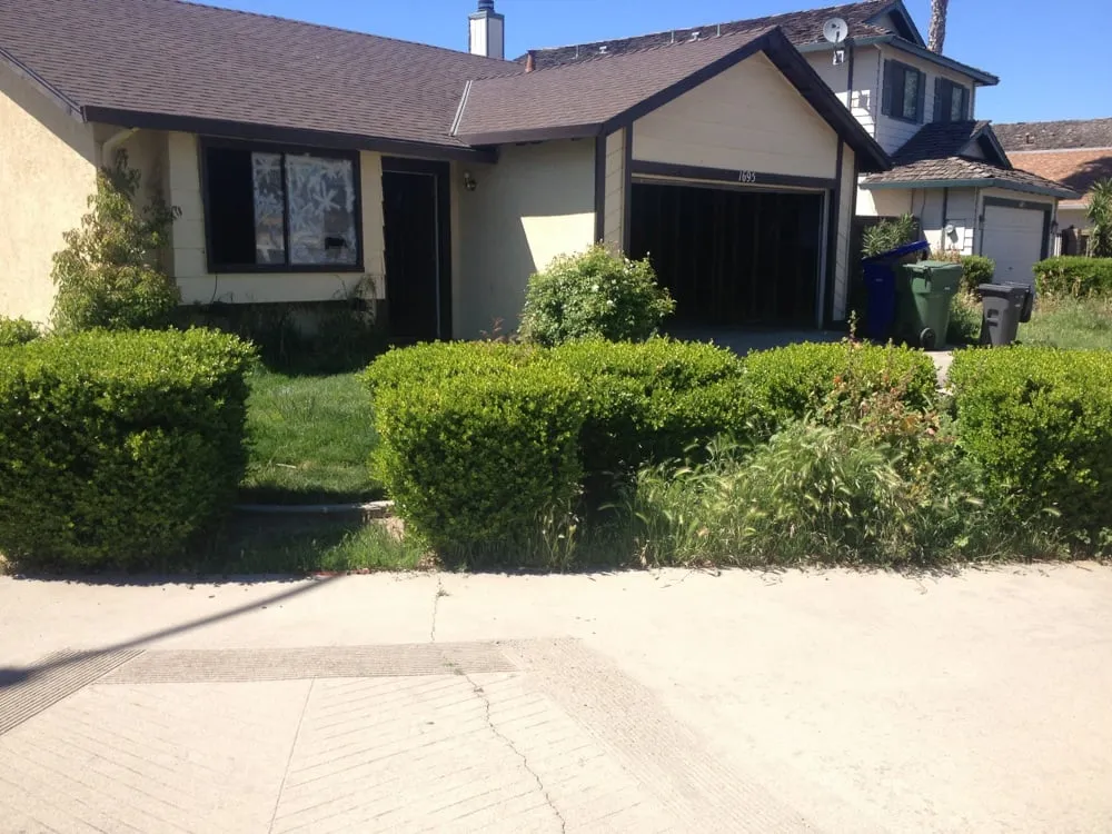 Custom landscaping services experts serving Newman, CA - A&J Landscaping