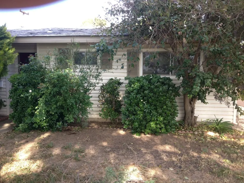 Reliable yard maintenance in Newman, CA by A&J Landscaping