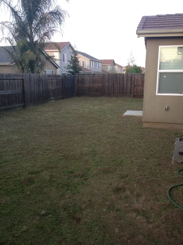 Local landscaping services for beautiful yards across Newman, CA - A&J Landscaping
