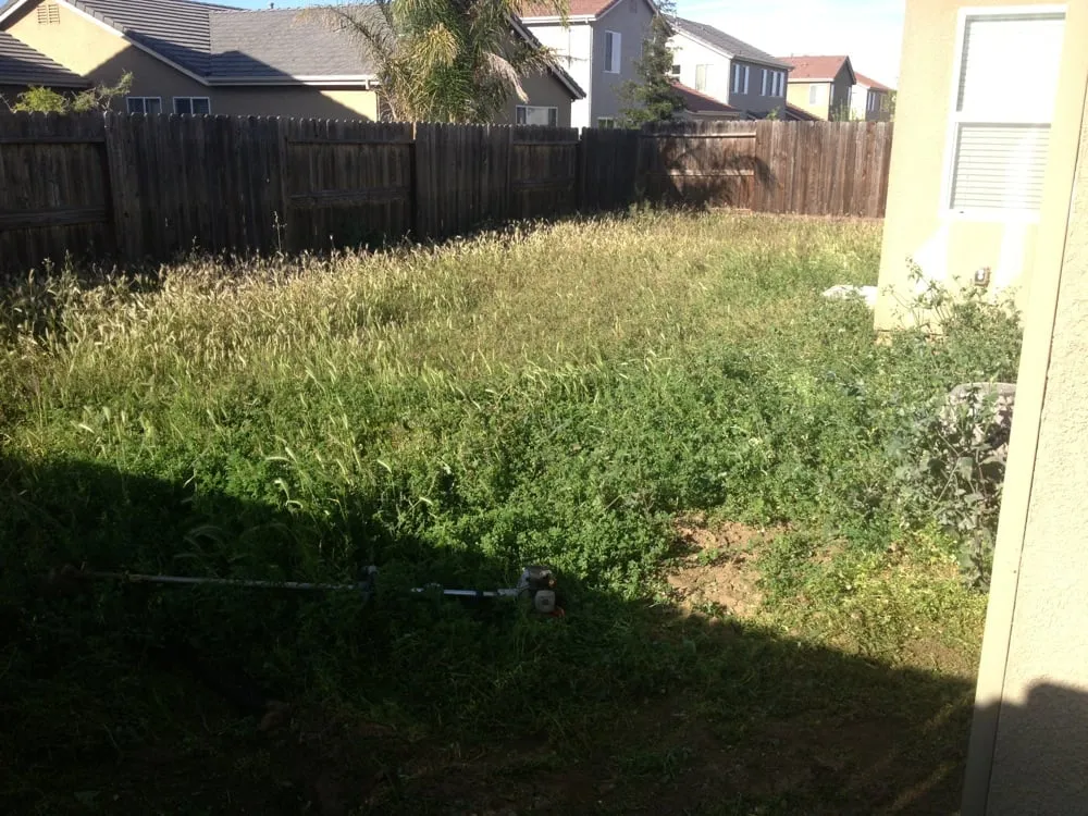 Affordable lawn care service experts serving Newman, CA - A&J Landscaping