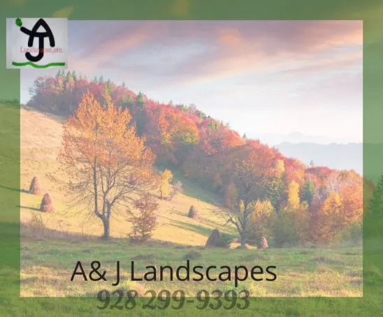 Local yard cleanup service experts serving Cottonwood, AZ - A&J Landscaping Services