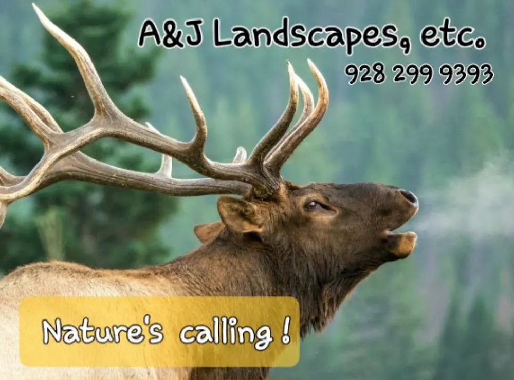 Local lawn care service in Cottonwood, AZ - A&J Landscaping Services