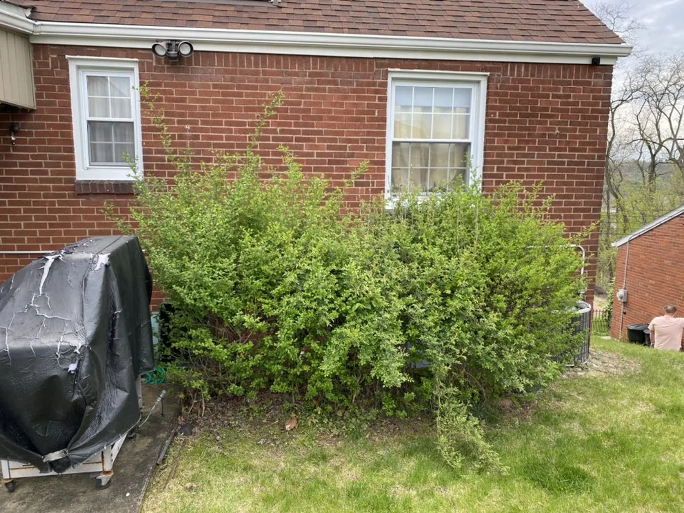 Professional landscape installation in White oak, PA by A&J Landscaping