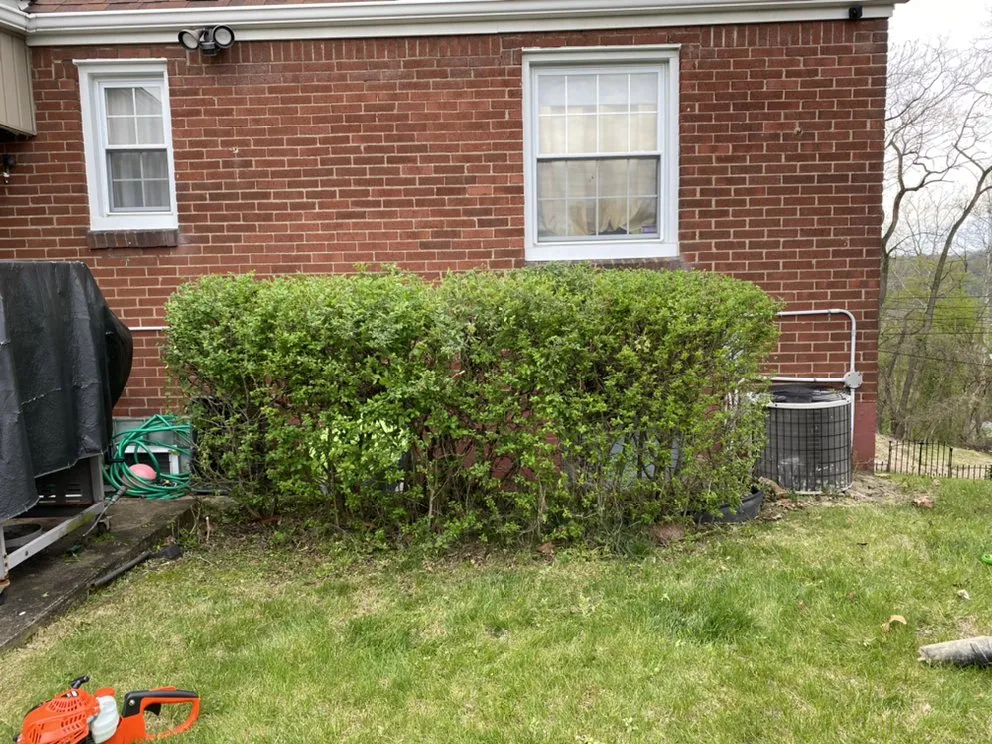 Trusted landscape installation with custom design in White oak, PA by A&J Landscaping