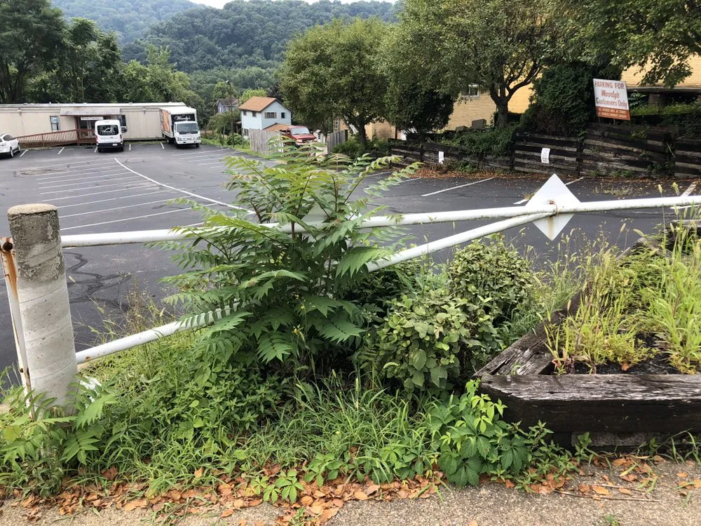 Expert yard maintenance in White oak, PA by A&J Landscaping