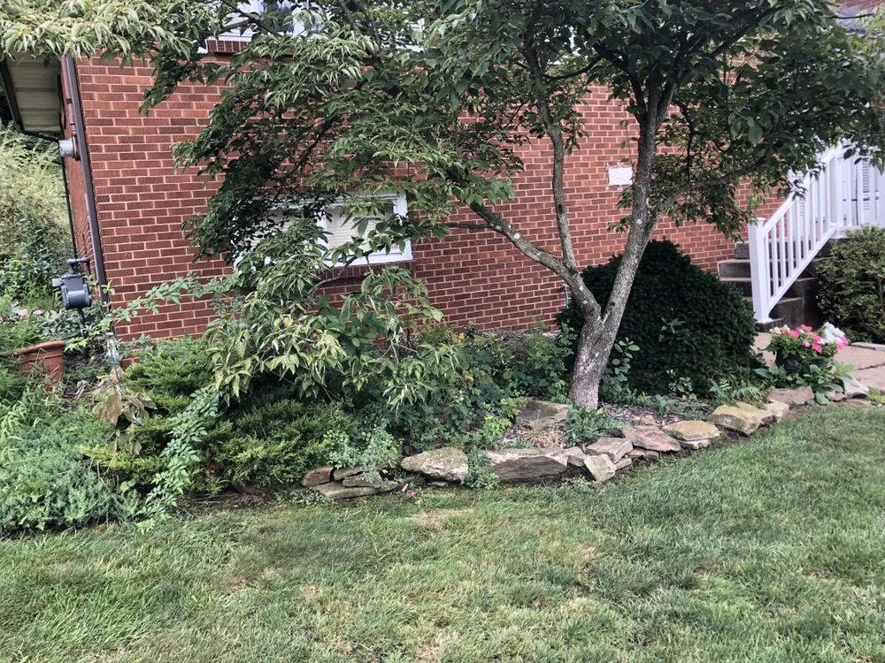 Professional lawn care service experts serving White oak, PA - A&J Landscaping