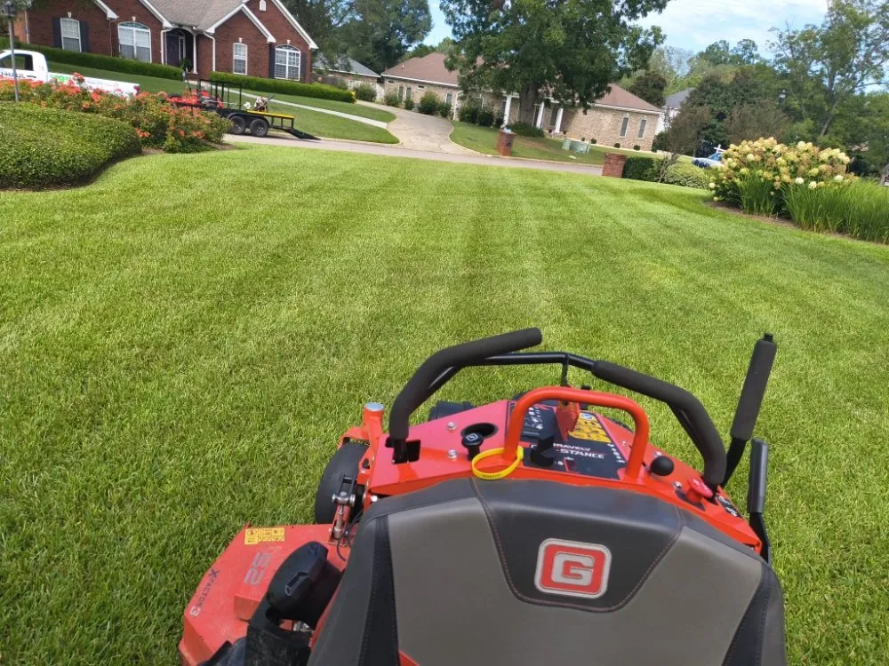 Custom yard cleanup service in Dothan, AL by A&J Lawn & Handyman Services